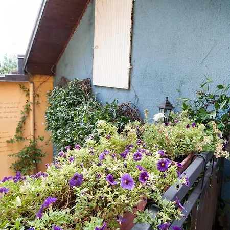 Tra E Stelle Bed and breakfast Cissano