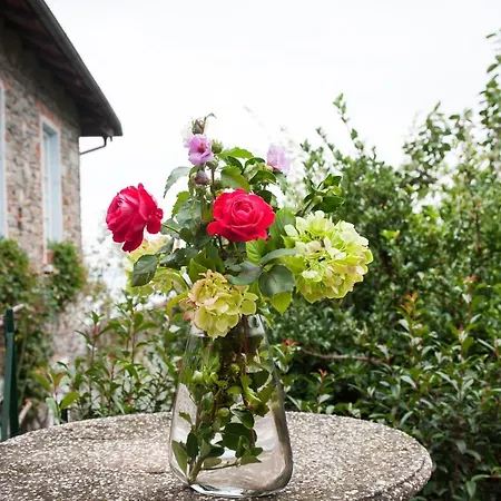 Tra E Stelle Bed and breakfast *